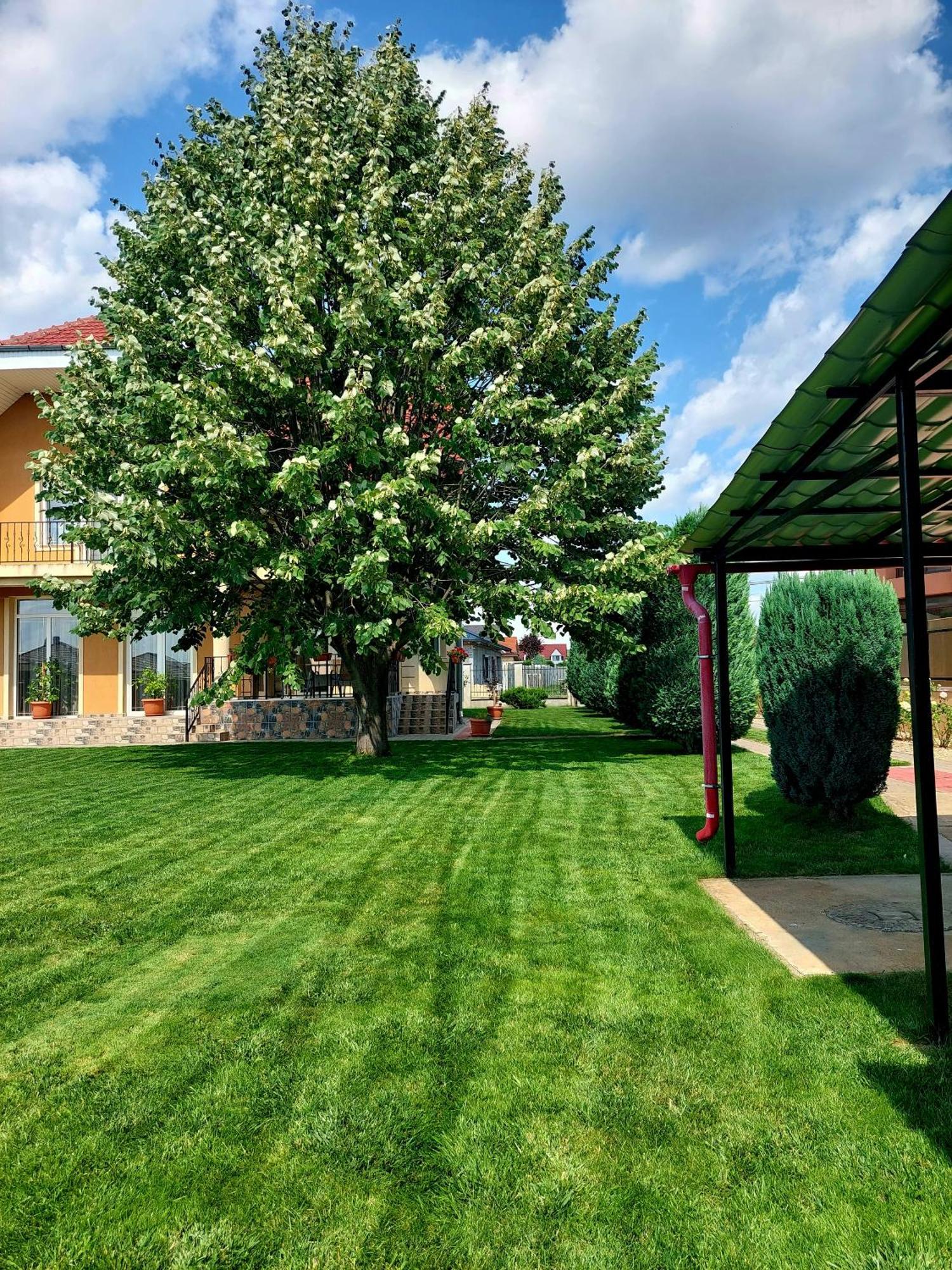 Casuta Cu Tei Villa Oradea Exterior photo